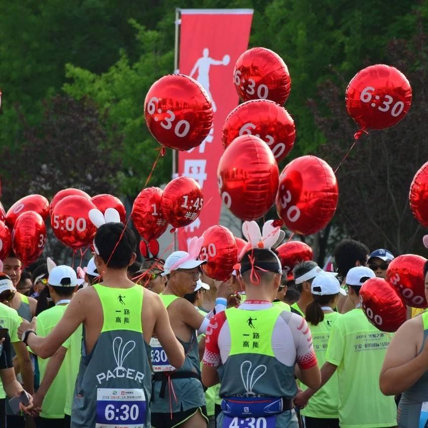 马拉松赛一般有多少个兔子,马拉松兔子都是很厉害的吗