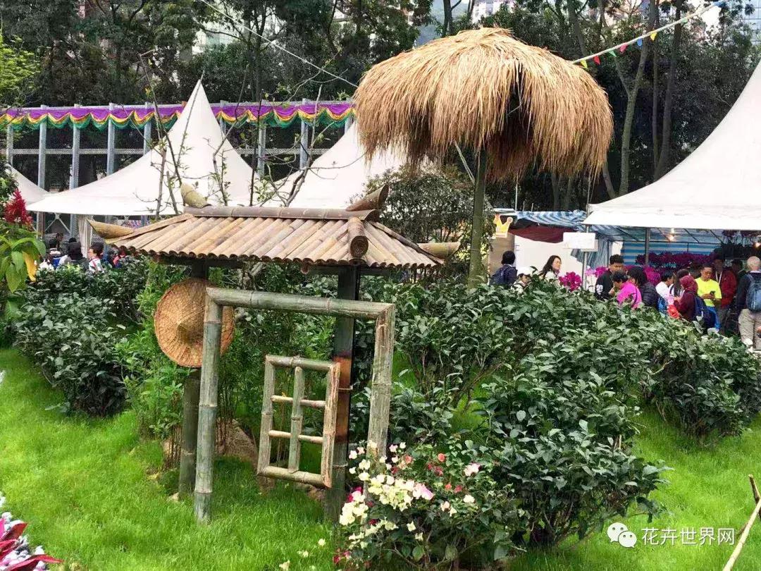 共赴盛会活动,香港国际花卉展