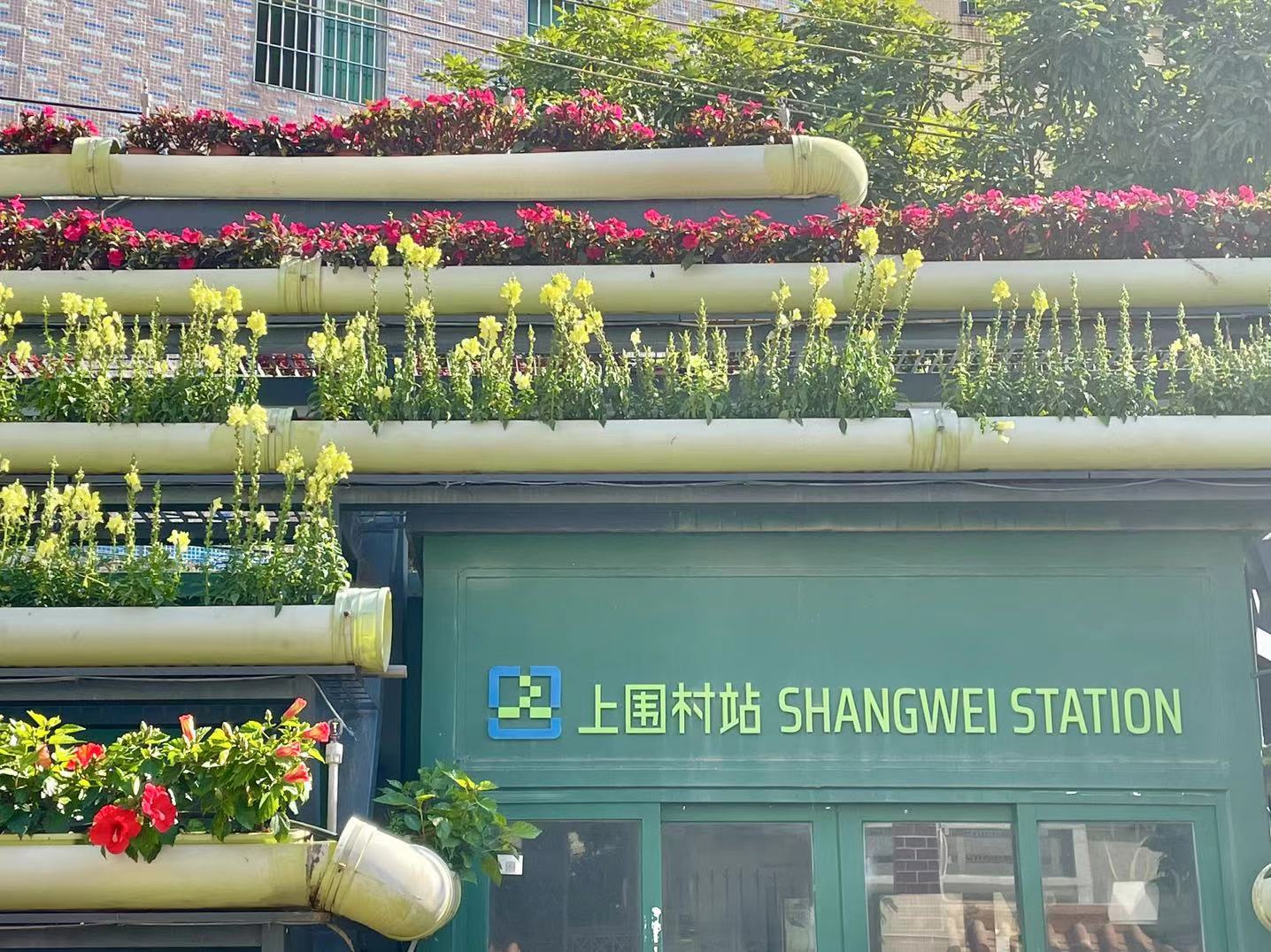 今日深圳龙华旅游攻略,深圳周末龙华去哪玩推荐