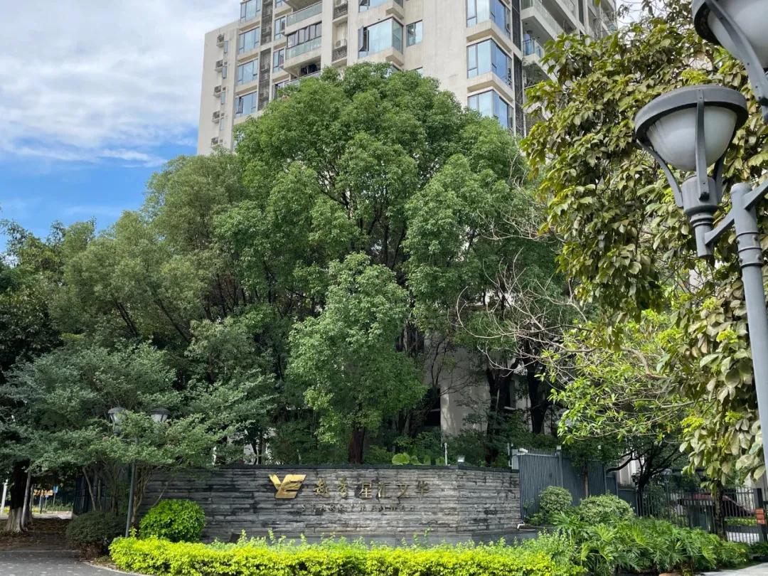 必经之路上积水成河的房子，凭什么这么贵？