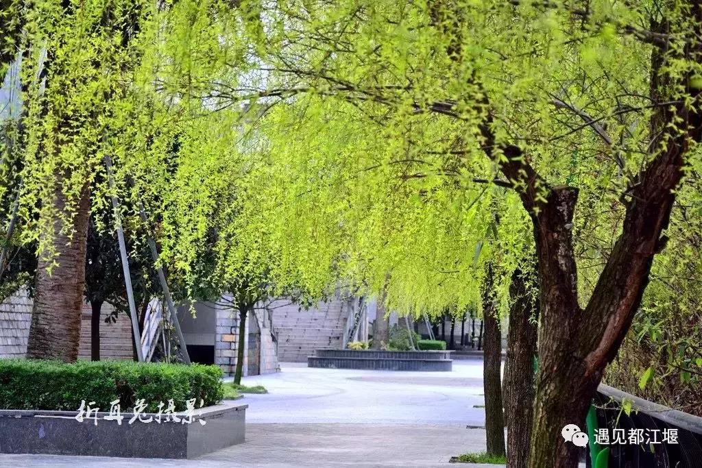 城市公园怎么玩,公园玩法