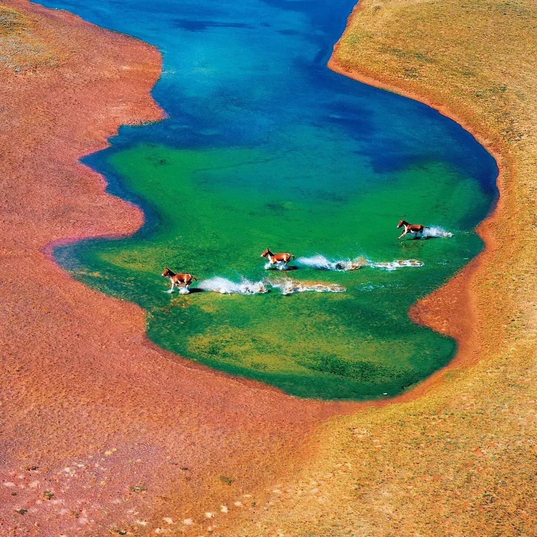 中国国家地理世界地理,中国国家地理和华夏地理