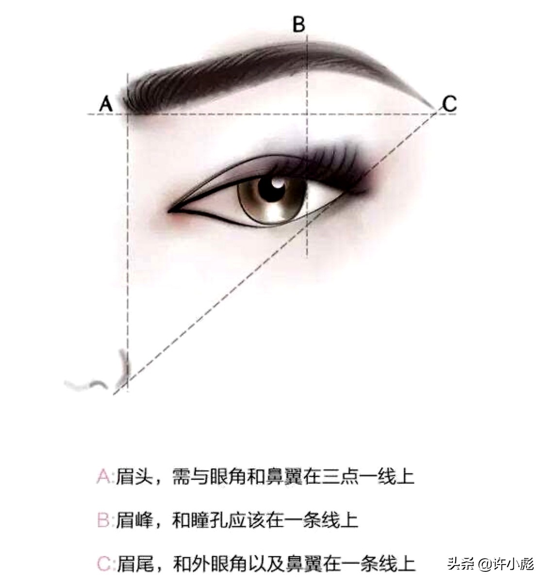 眉毛多但眉形不好看要纹眉吗,眉毛淡画眉毛的技巧和方法