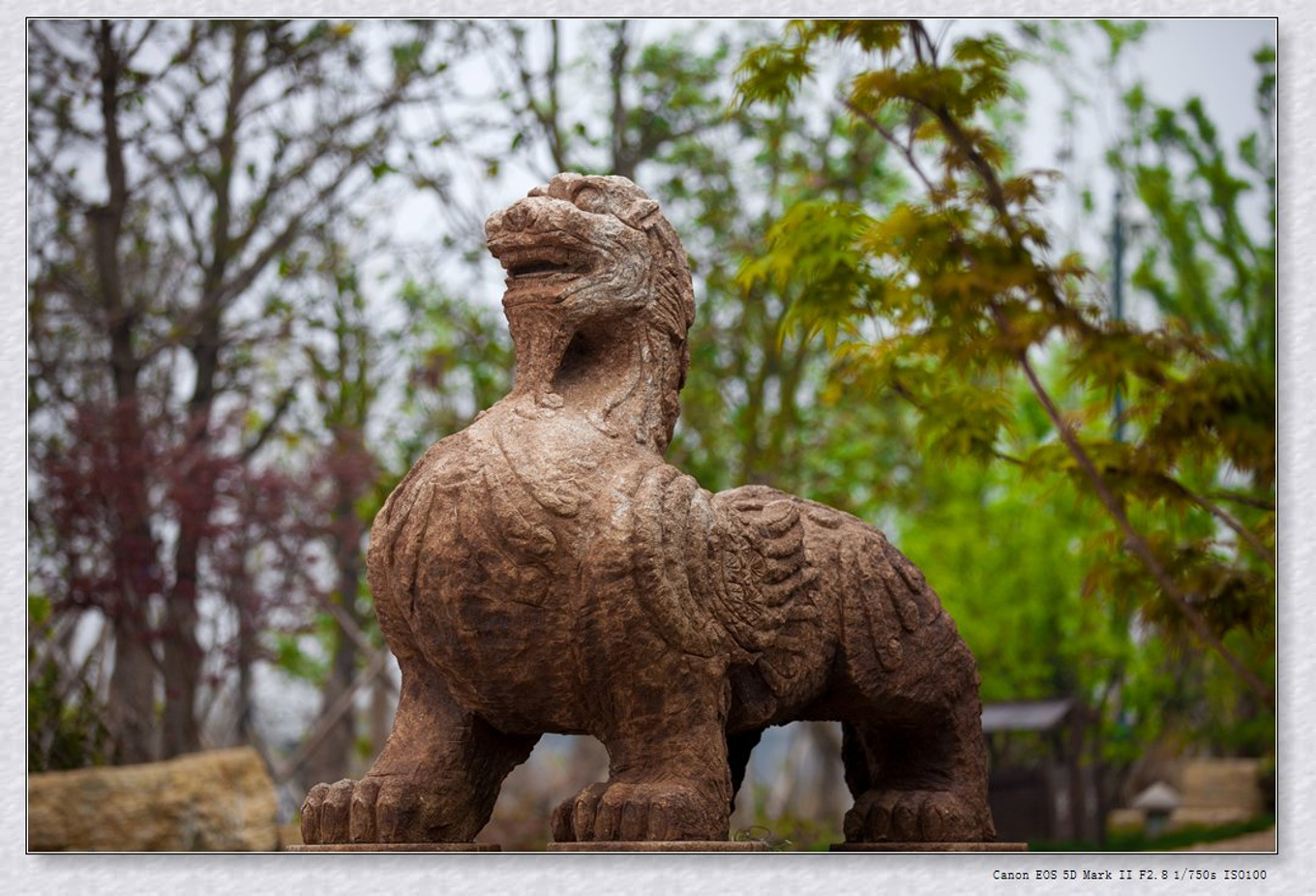 常州旅游东方盐湖城,骆驼之旅视频
