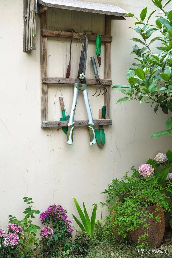 白鹭湾的“选美大赛”，谁是你心中最美的“姑娘”