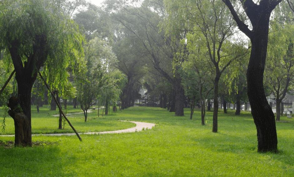 郑州出发黄河沿线自驾游最佳路线,郑州黄河自驾游攻略路线