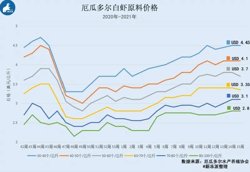 厄瓜多尔虾“一枝独秀”，国内库存少，虾价会涨吗？