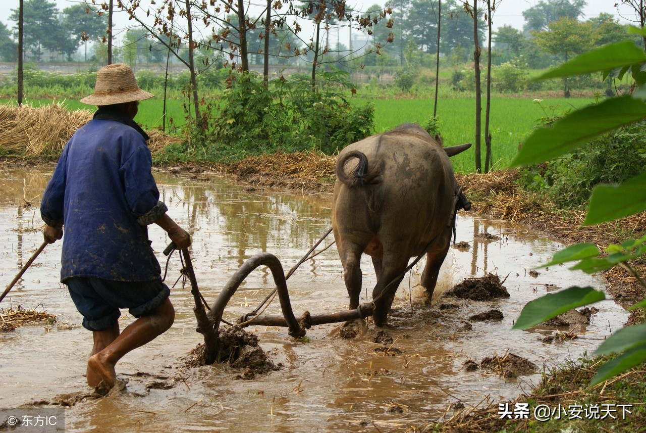 除了四大发明还有哪些发明,中国古代四大发明外的重大发明