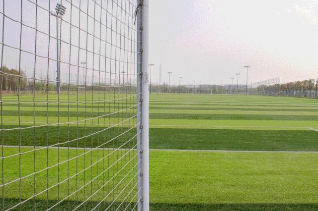 浦东滨江世博文化樱花公园,滨江道24小时不打烊