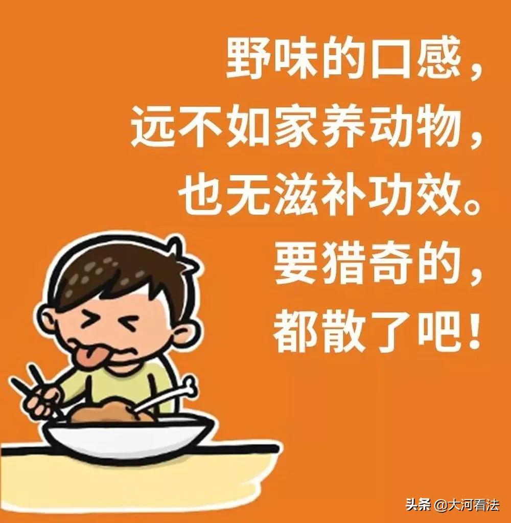 哪些动物属于野味,野生动物哪种最好吃