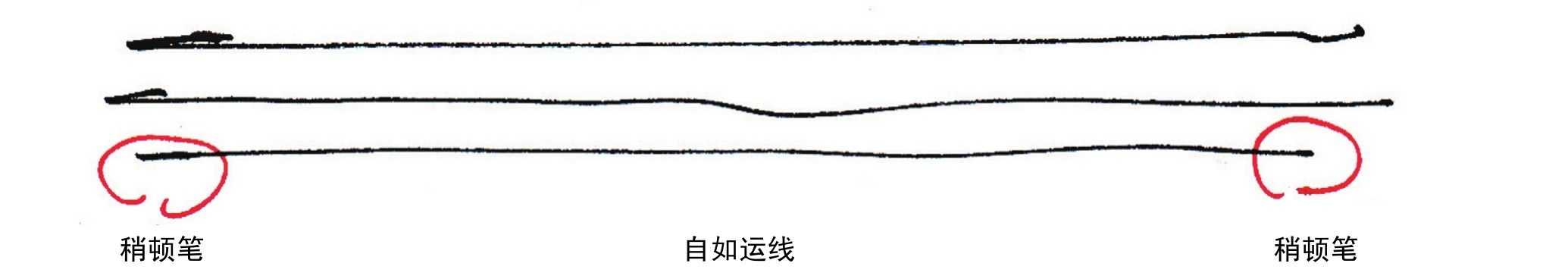 画画基础知识100例,画画必知的知识