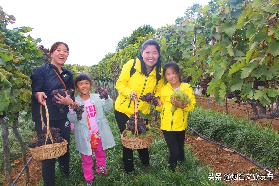 张裕卡斯特酒庄免费参观,烟台张裕卡斯特酒庄攻略