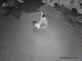 2019年影响力最高的十篇更新,最让你感到震撼的是哪一篇?