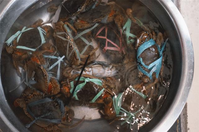 老板疯了五元一桌子菜,老板疯了系列零食