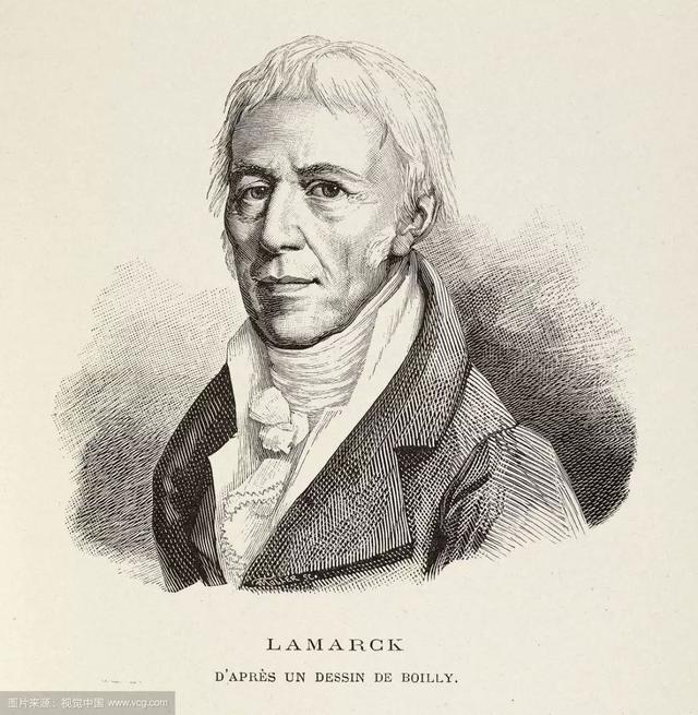 大跌眼镜!进化论的头号敌人居然是物理学和数学?