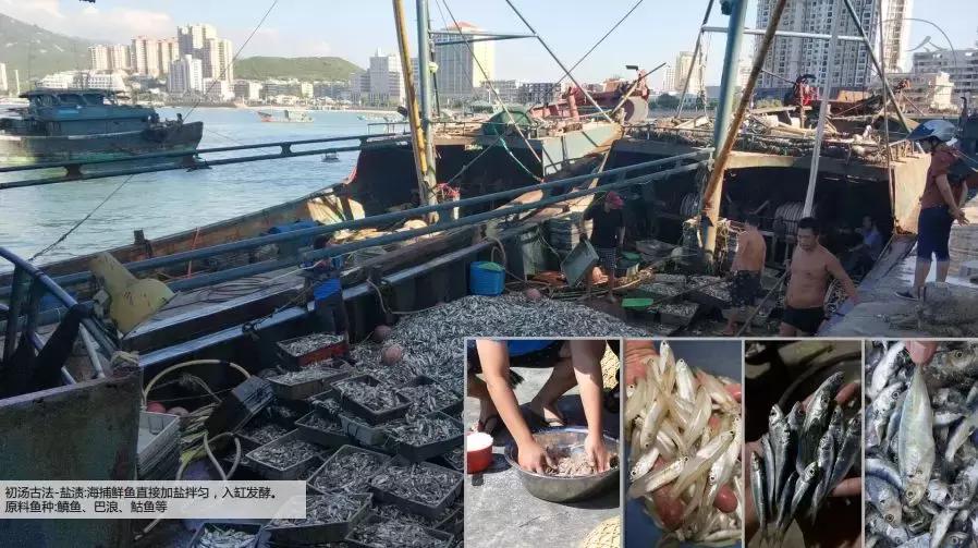 潮汕人说的鱼露,潮汕鱼露什么味道