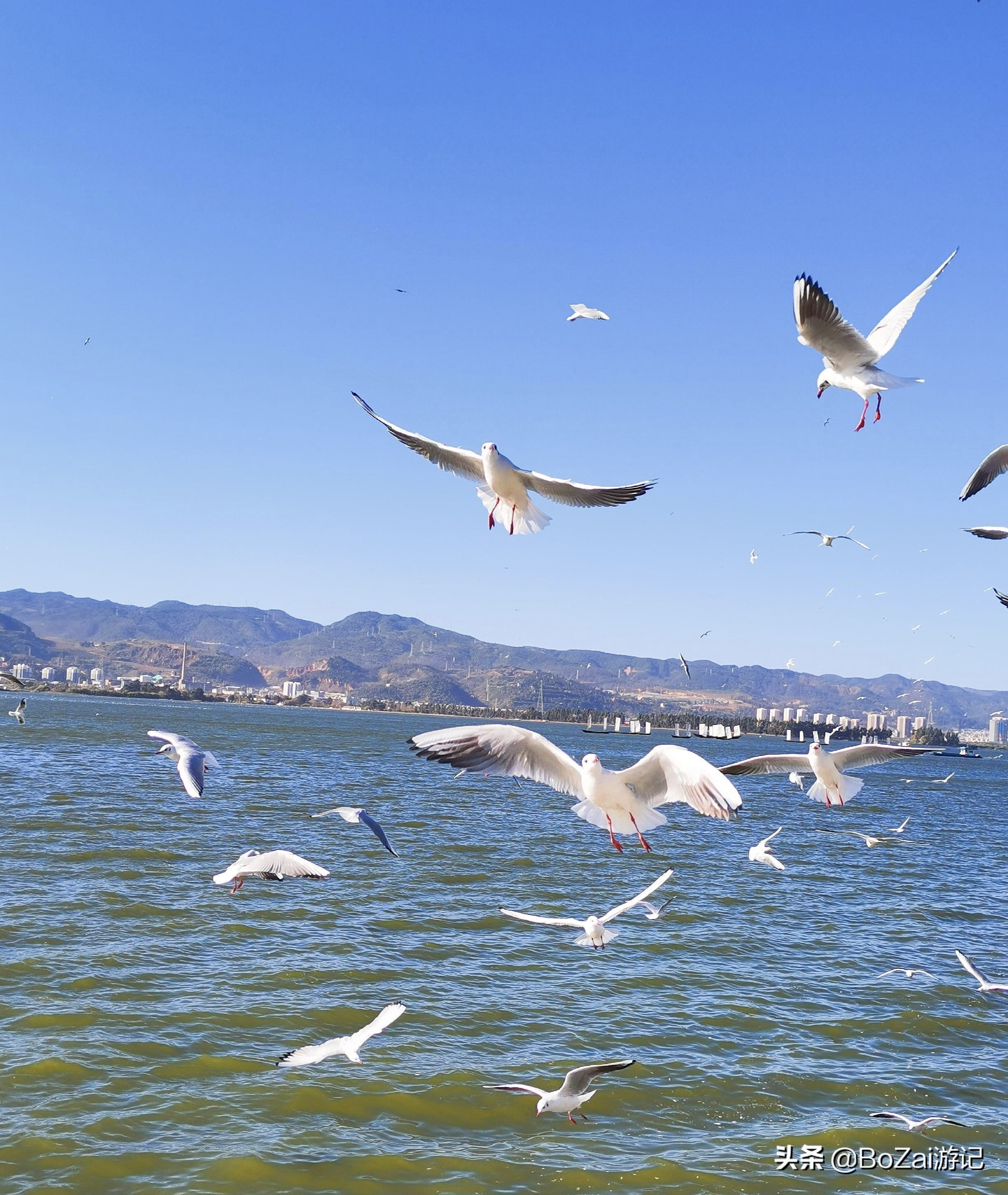 到昆明游玩必去的景点推荐一下,昆明官渡附近景点哪里好玩免费的