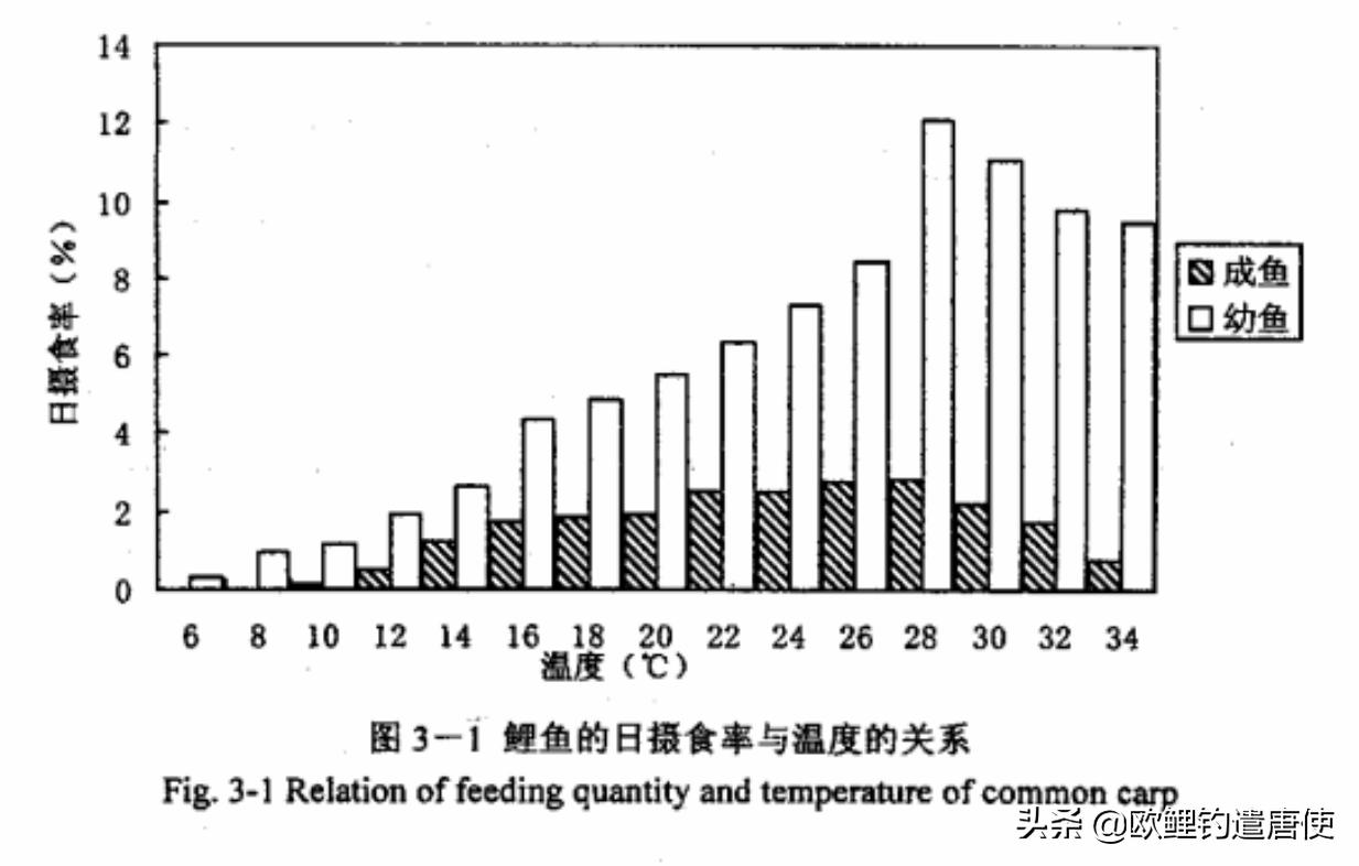 钓鱼为何都是小鱼,钓鱼不咬钩的多种原因和应对技巧