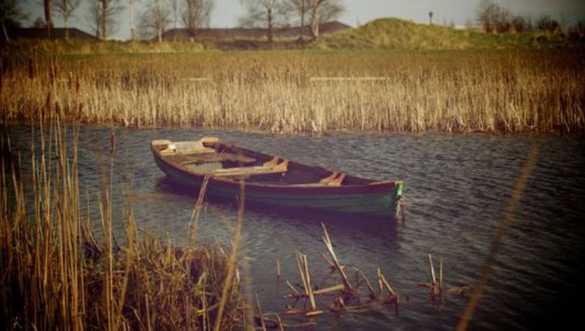 诗歌《孤独》,诗词孤独寂寞