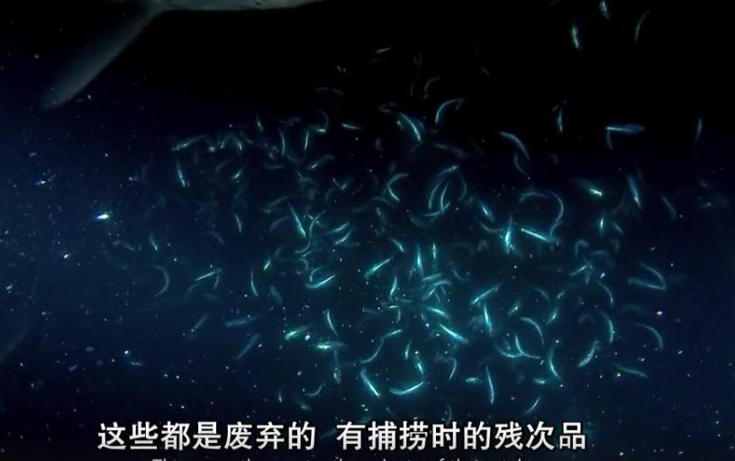 富二代人骨皮包的真实图片,人骨皮包真相曝光