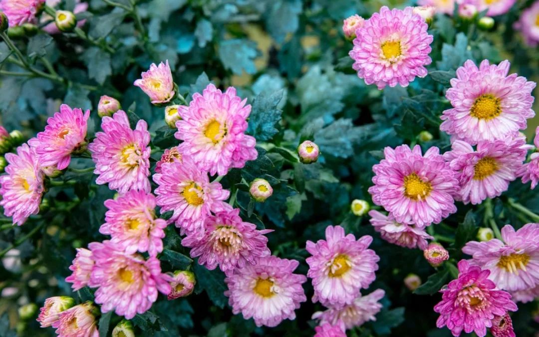 自拍达人全景,南宁自拍拍照博主