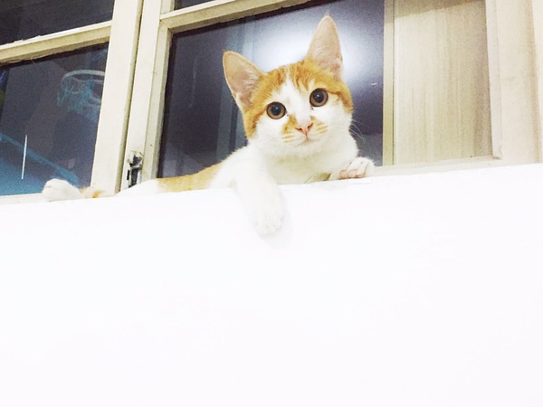 广州租房最便宜的区排行,最近广州租房一楼哪里便宜又好