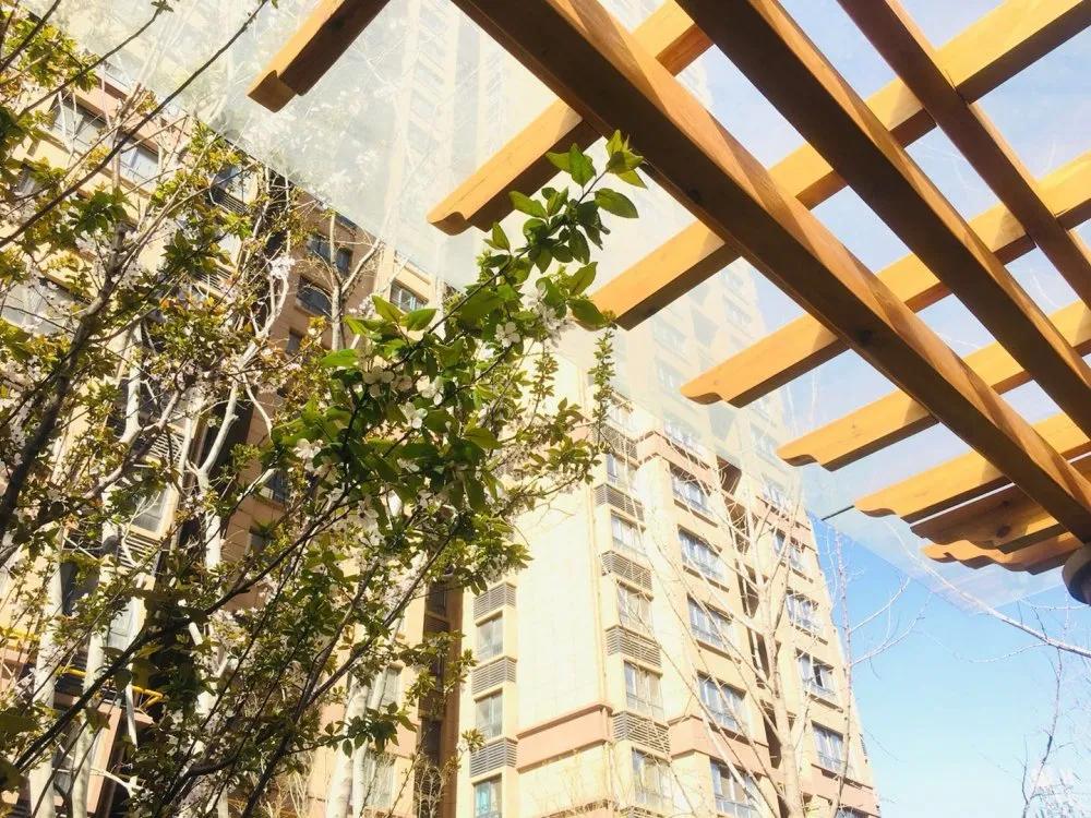 中南广场二期十号楼,中南广场两梯