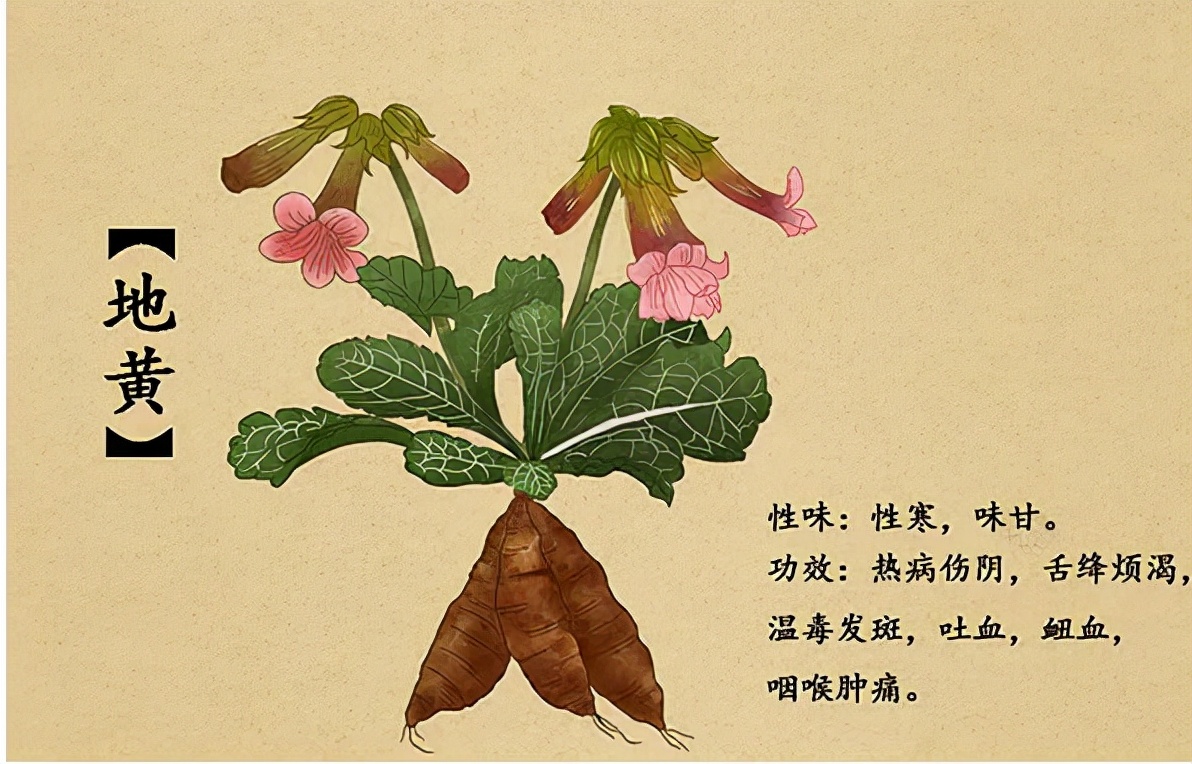 马博士讲医学视频,马博士解读视频