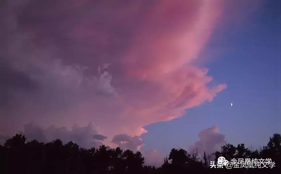 金凤凰古诗3首,金凤凰古诗作品