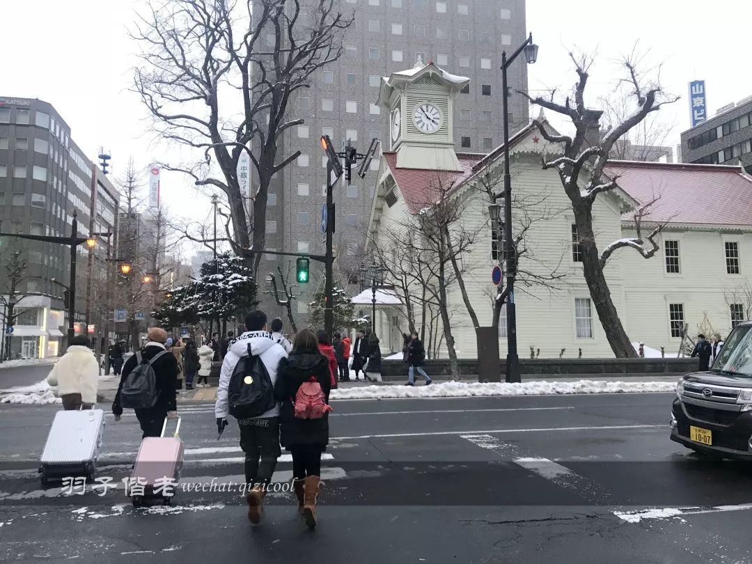 日本10天自由行费用北海道,东京北海道5日自由行攻略