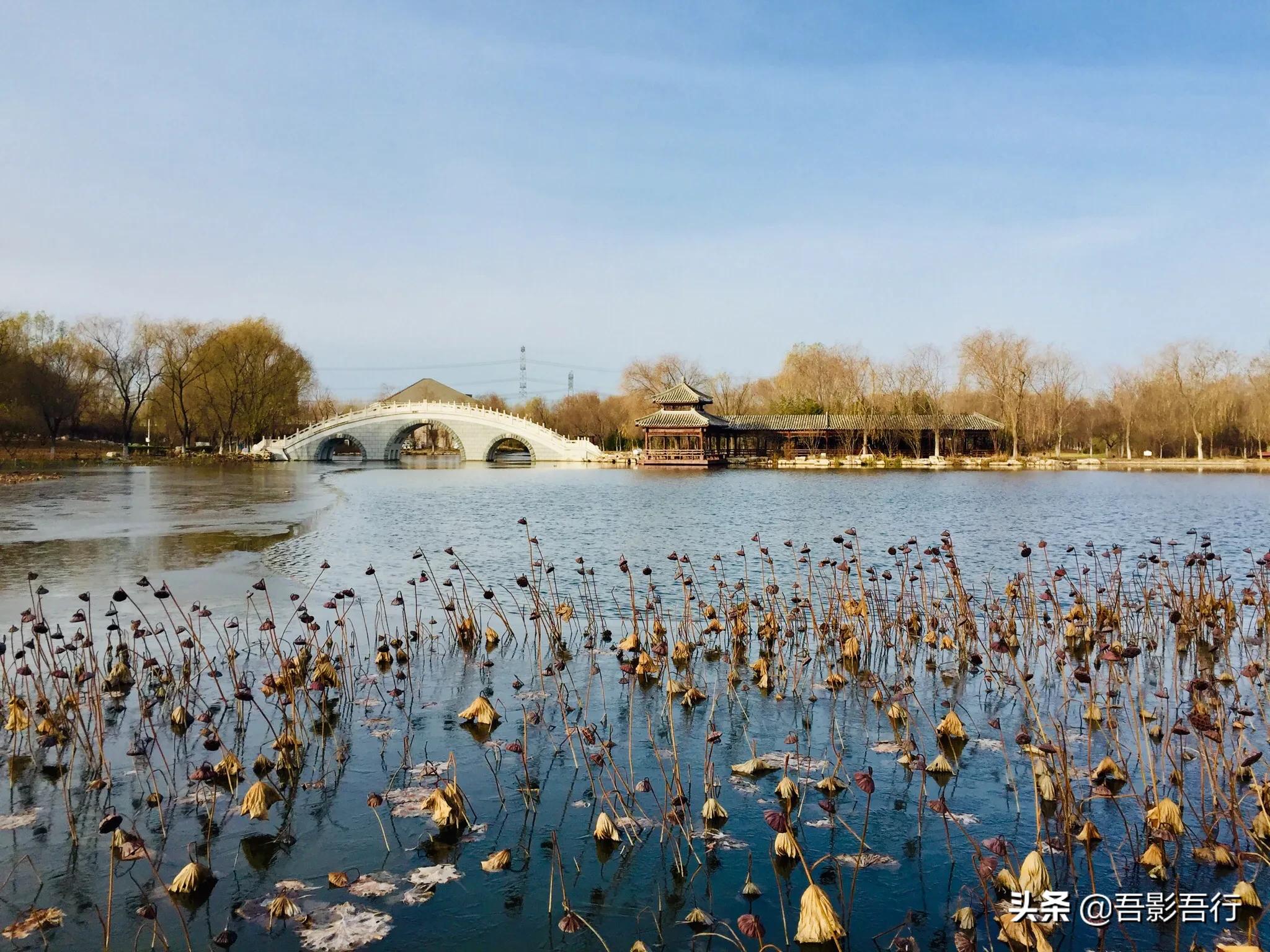 武清津北森林公园有哪些景色,天津武清森林公园开放时间表