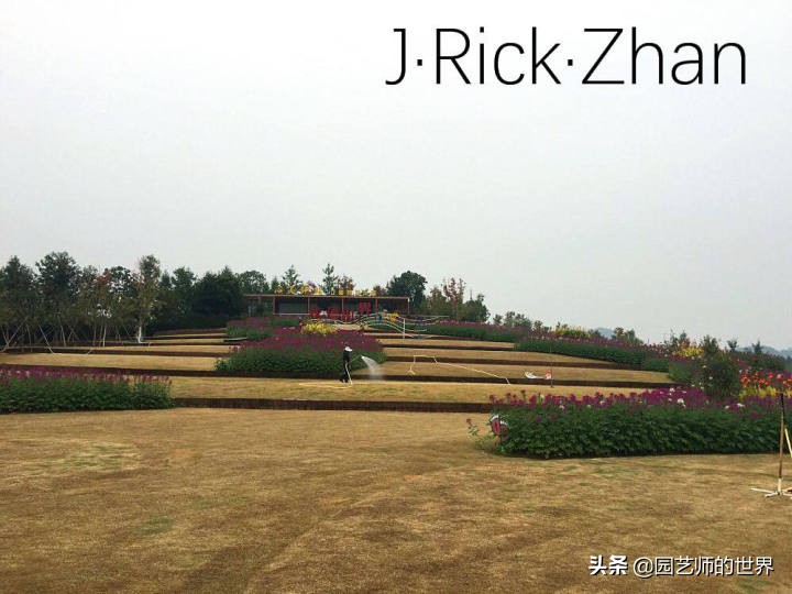 果岭草坪的种植养护方法及技巧,怎么种植一个可以躺的草坪