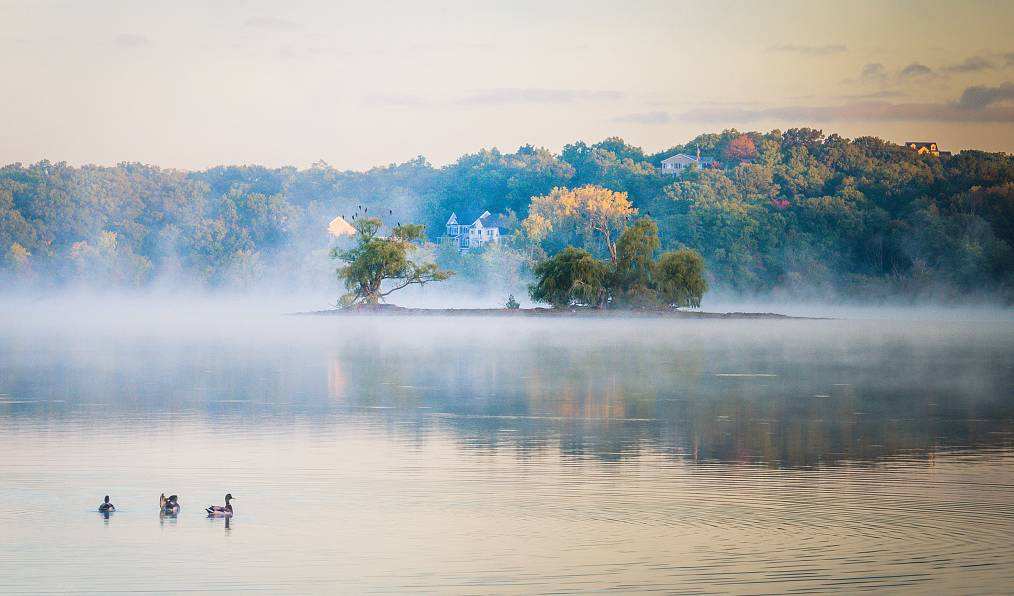 余光中精读,余光中的精神品质