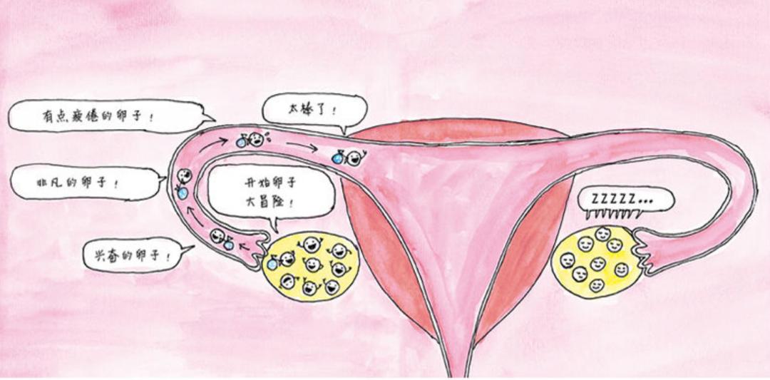 幼儿园老师猥亵男童怎么取证,一幼儿园教师猥亵男孩被拘