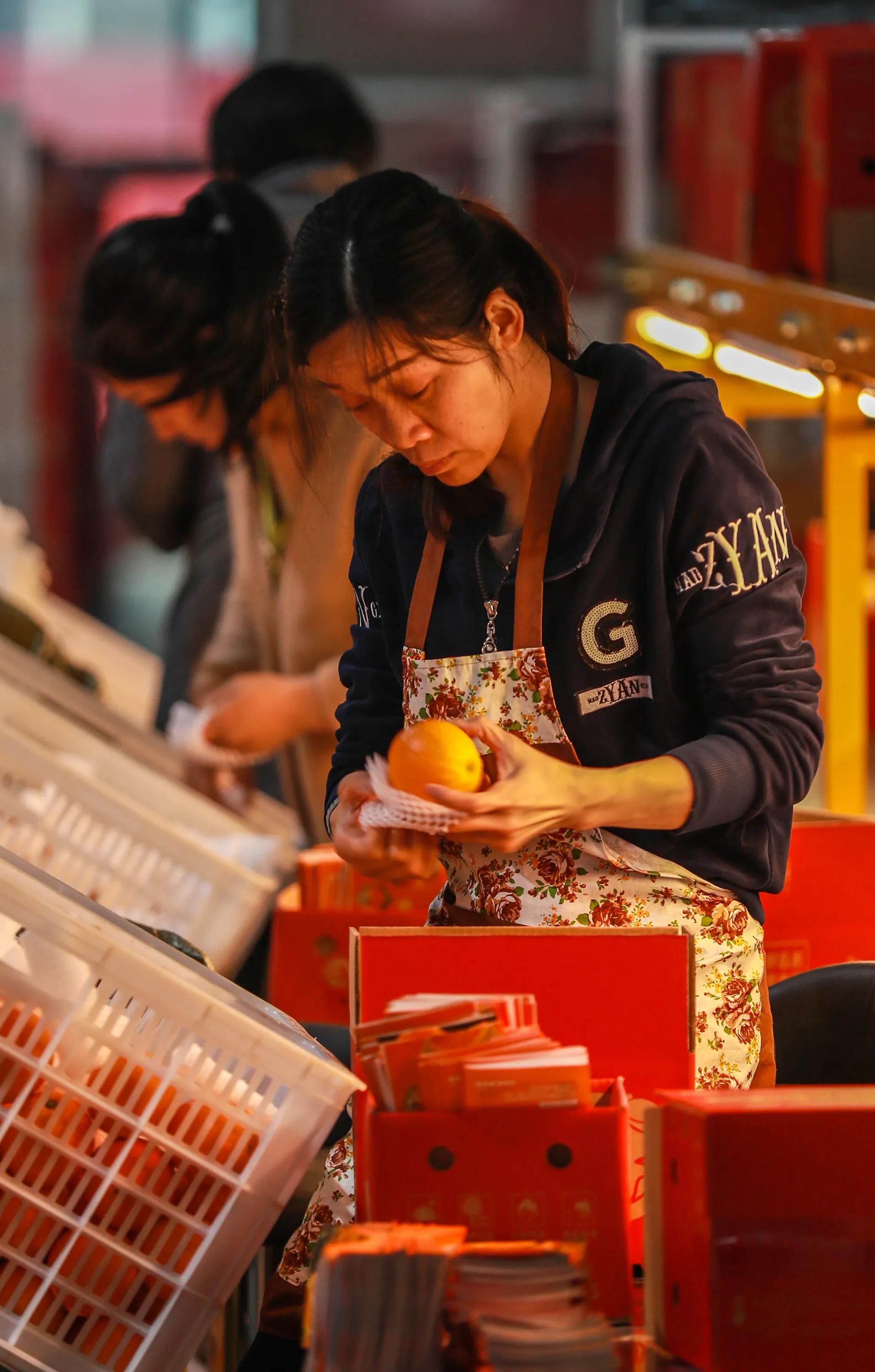 秭归县柑橘加工,秭归脐橙分选