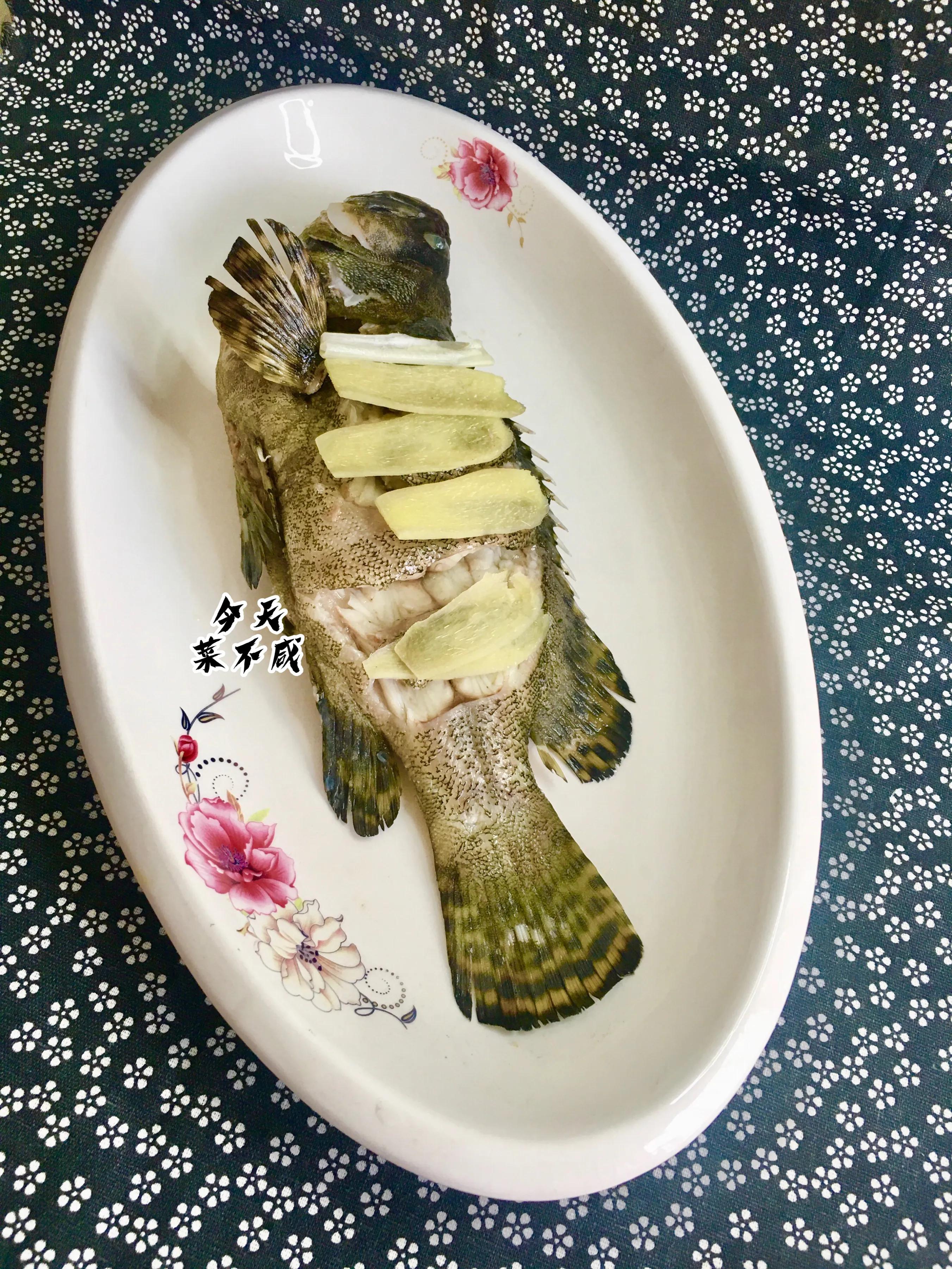 石斑鱼冷水蒸鱼还是开水蒸鱼好啊,石斑鱼蒸鱼切花刀盘圆视频教程