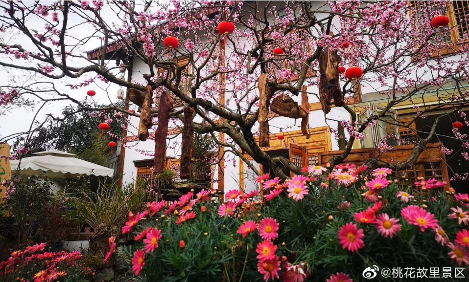 5月18日成都免费游博物馆怎么预约,成都周边游玩哪些地方需要预约的