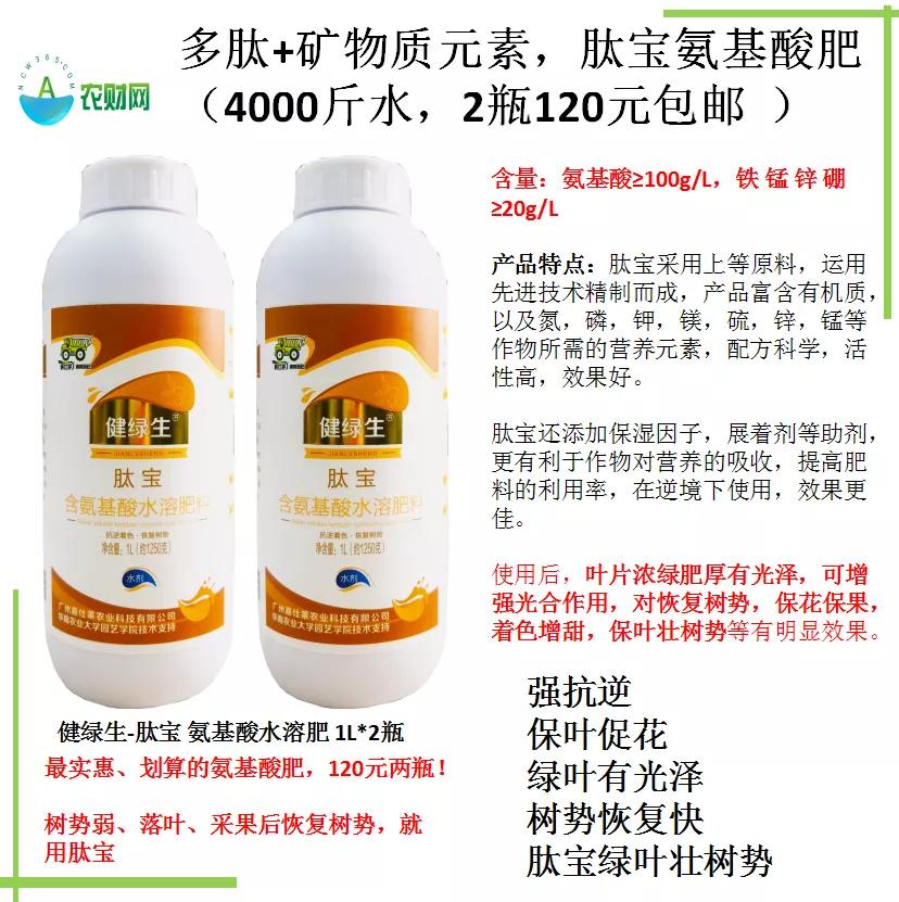 柑橘树现在落叶怎么回事,柑橘现在会黄落叶这是怎么了