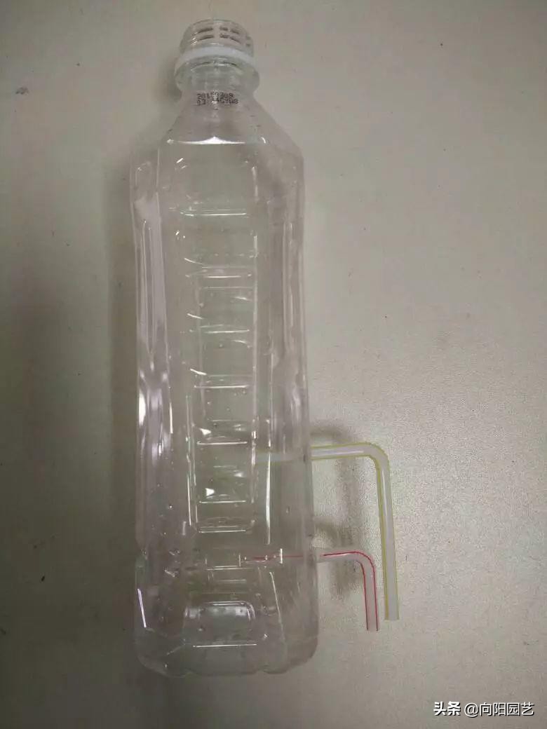 自制夏天自动浇水简易装置,自制室内无人自动浇水神器