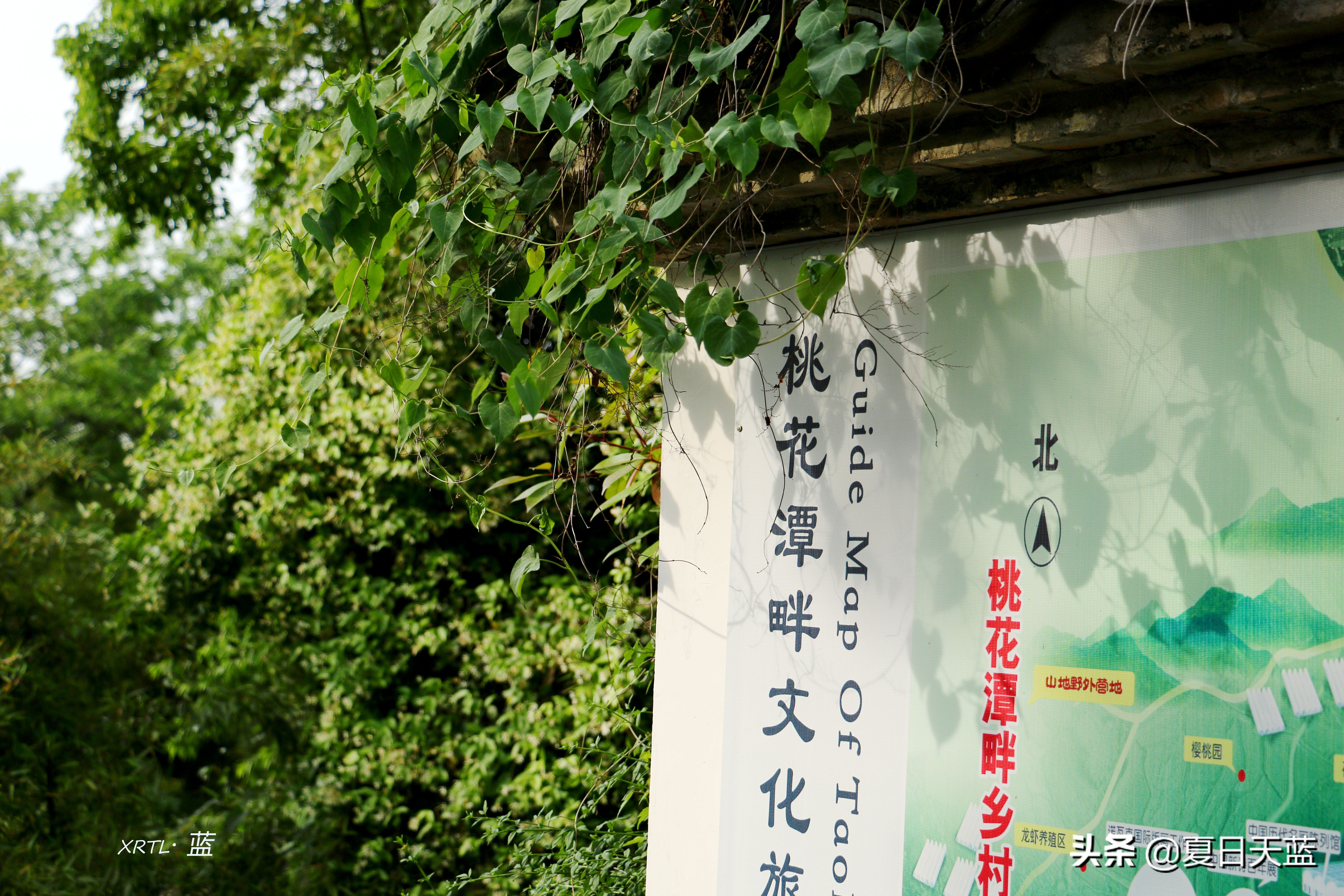 李白在桃花潭写的千古名句,桃花潭因李白而出名的诗句