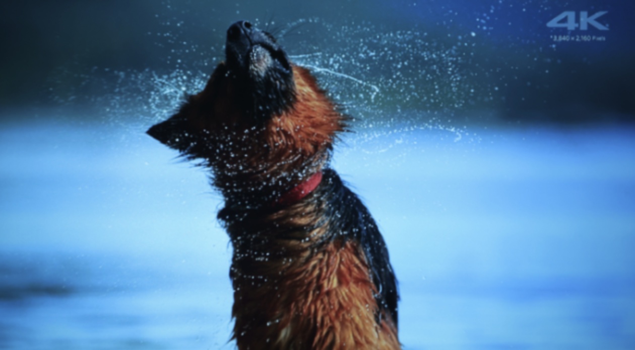 宝视来d600投影仪,宝视来hld437投影机