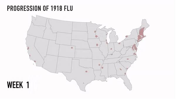 柳叶刀顾问病毒传播,柳叶刀质疑中国肝器官来源