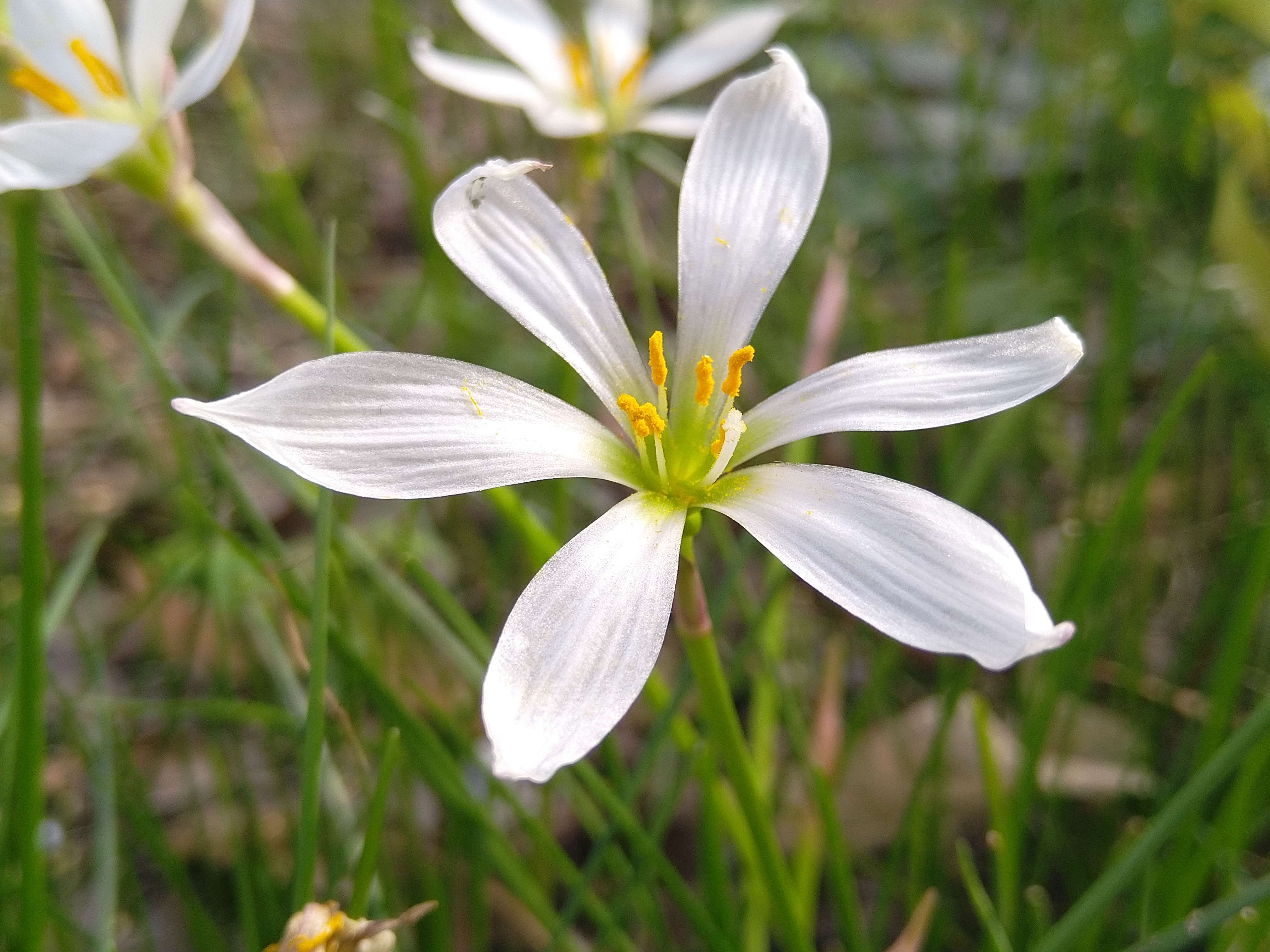 军用迷彩热成像,军工三防热成像手机