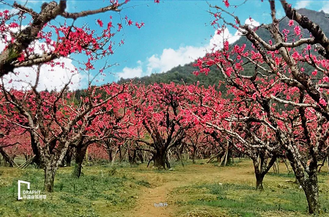 广东省周末自驾游民宿温泉推荐,广东温泉旅游攻略路线