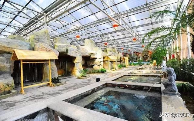 河南平顶山鲁山温泉排行榜,河南最好的温泉排名榜