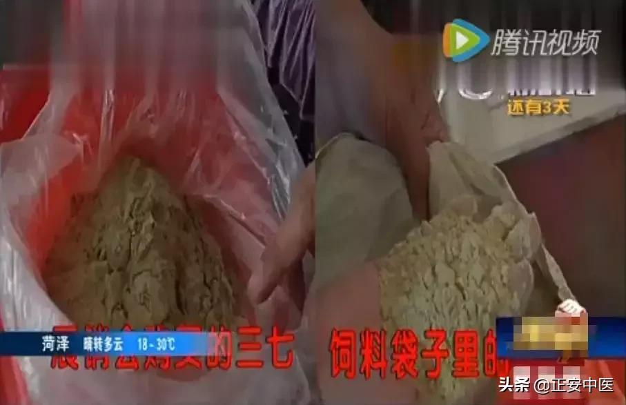 如何购买云南三七花,三七止血粉多少钱