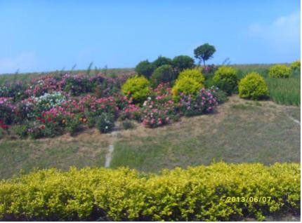 威海八河水库风景,威海八河风景区