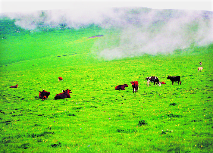 五寨县附近有什么山,五寨绿水青山风景区简介