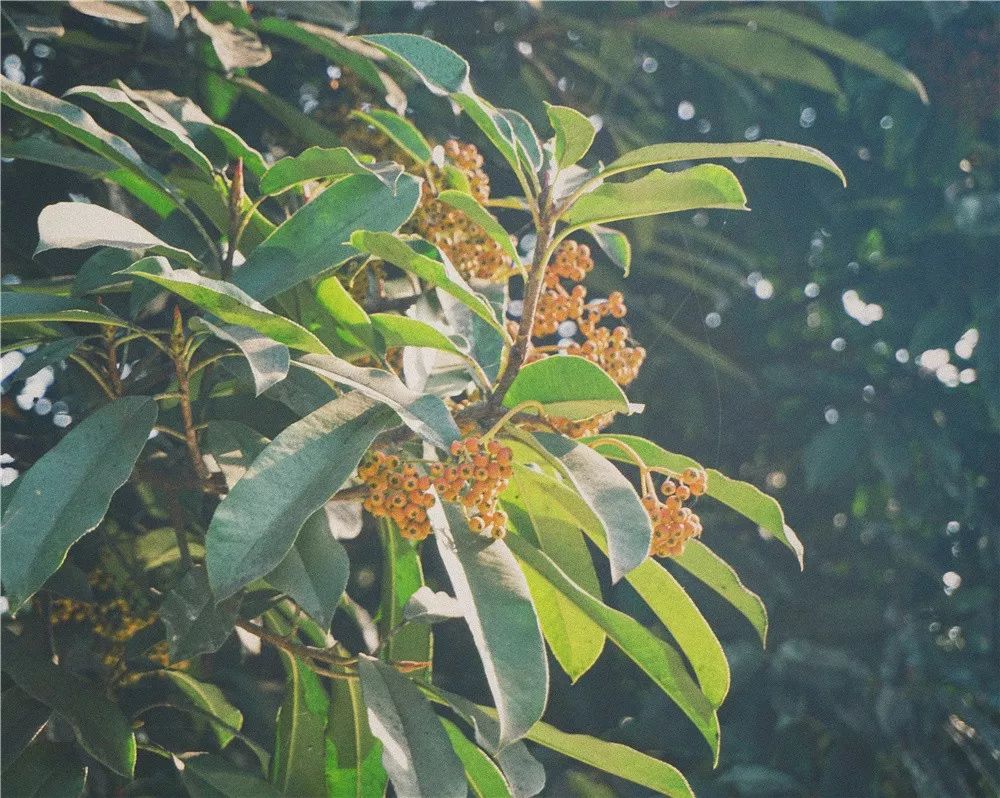 西安八月约会最佳地点,西安周末情侣最适合约会的地方