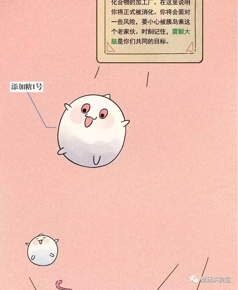 吃太多的糖会让你变胖,让你变丑变老的不是脂肪而是糖